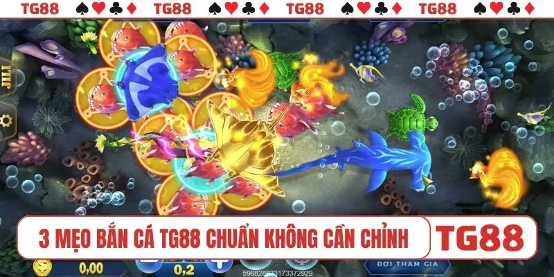 3 mẹo bắn cá TG88 chuẩn không cần chỉnh