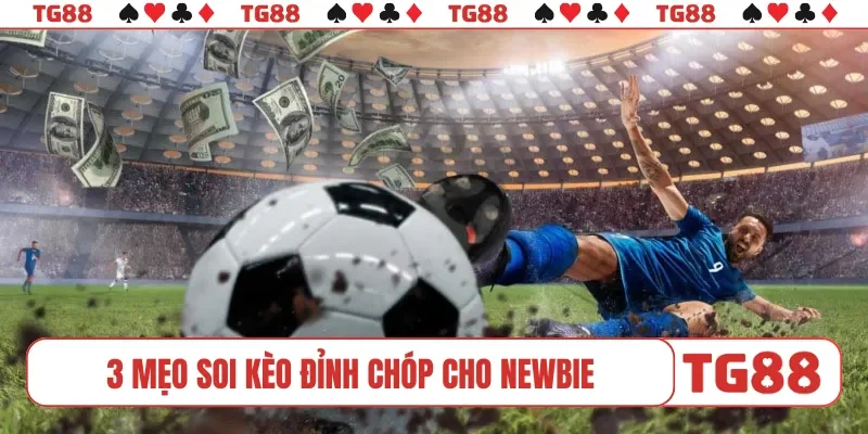 3 mẹo soi kèo đỉnh chóp cho newbie