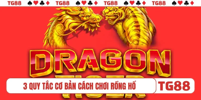 3 quy tắc cơ bản cách chơi Rồng Hổ