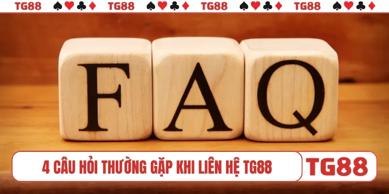 4 câu hỏi thường gặp khi liên hệ TG88