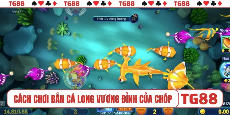 Cách chơi bắn cá Long Vương đỉnh của chóp