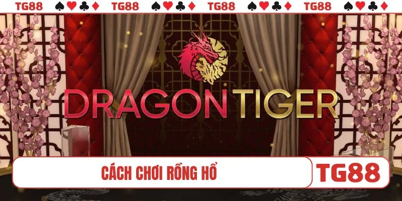 cách chơi rồng hổ