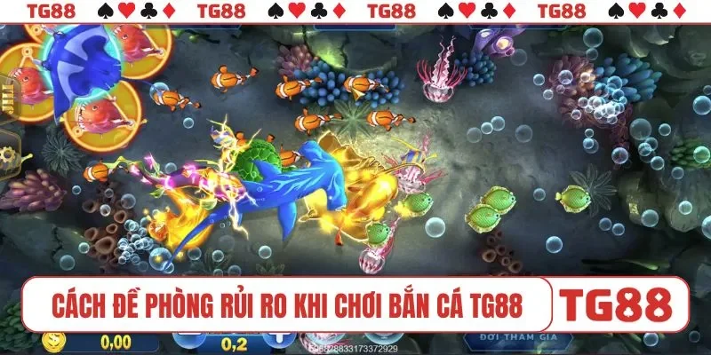 Cách đề phòng rủi ro khi chơi bắn cá TG88