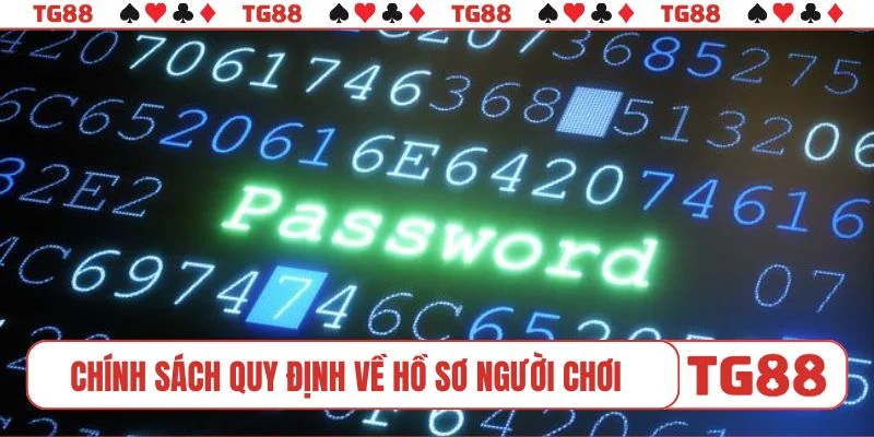 Chính sách quy định về hồ sơ người chơi