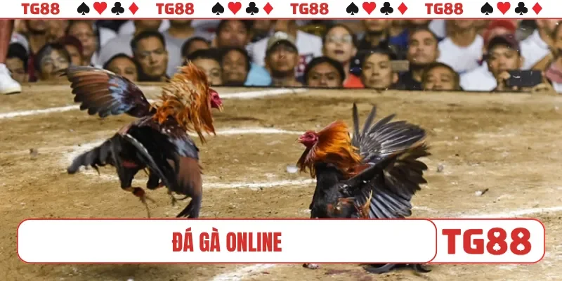 Đá gà online