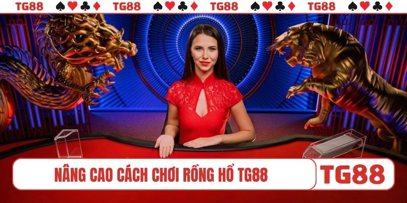 Hướng dẫn nâng cao cách chơi Rồng Hổ TG88