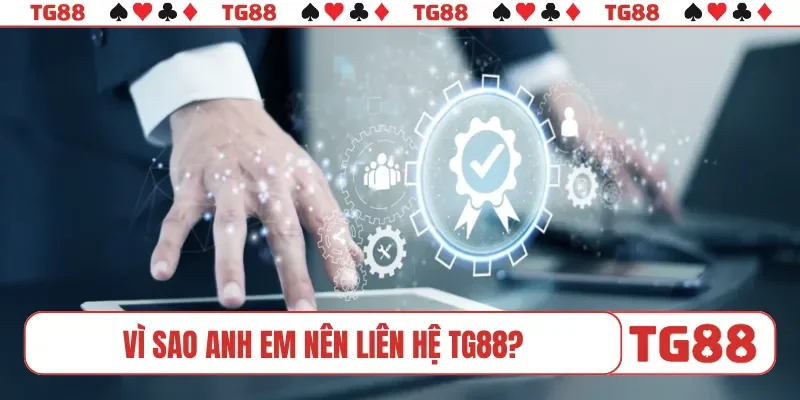 Vì sao anh em nên liên hệ TG88?